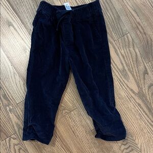 Primary Kids Dark Blue Corduroy Pants